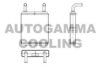 AUTOGAMMA 104817 Heat Exchanger, interior heating